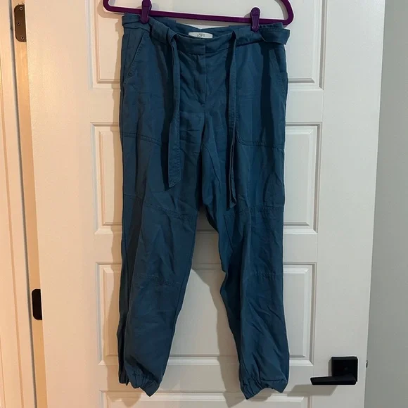 Ann Taylor LOFT Cargo Pant - Picture 1 of 3